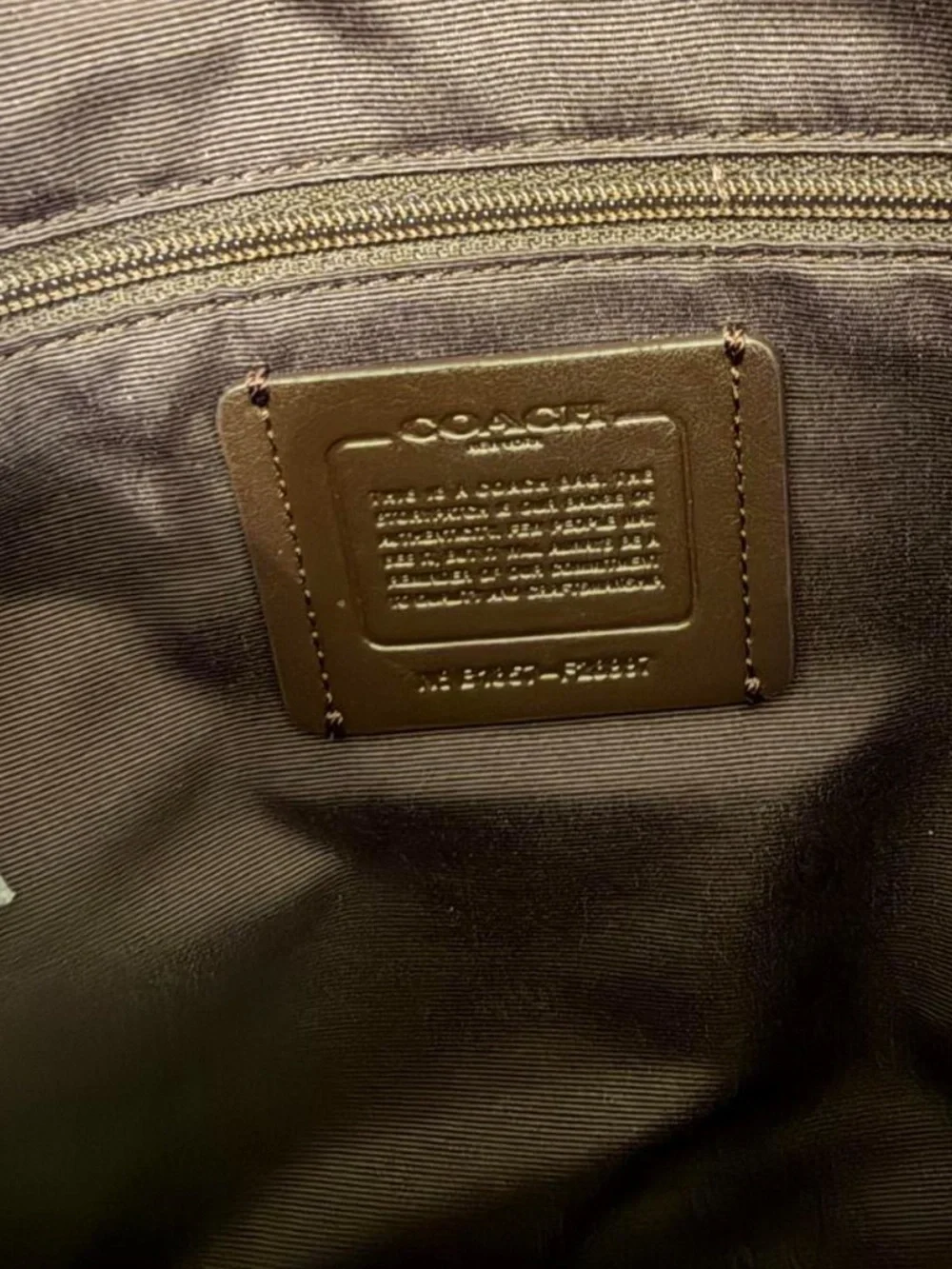 Coach Lexy Pebble Leather Shoulder Bag with Gold-Tone Hardware